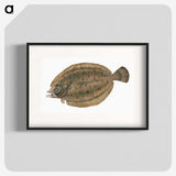 1-66_The-Natural-History-of-British-Fishes_blk
