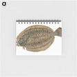 1-66_The-Natural-History-of-British-Fishes_memo