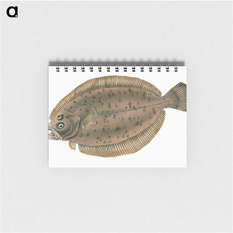 1-66_The-Natural-History-of-British-Fishes_memo