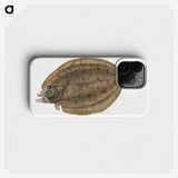 1-66_The-Natural-History-of-British-Fishes_phone