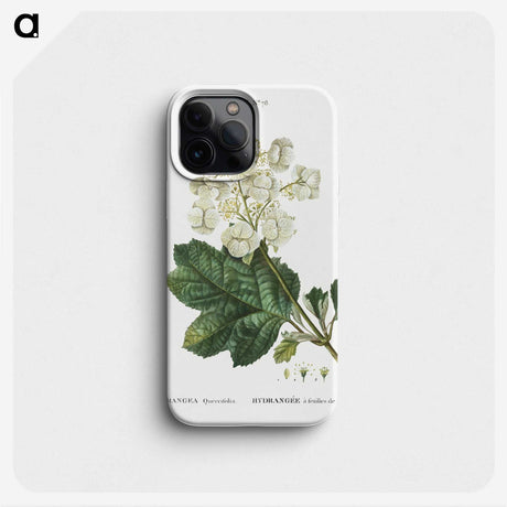 1-66_Treatise-on-Trees-and-Shrubs_phone