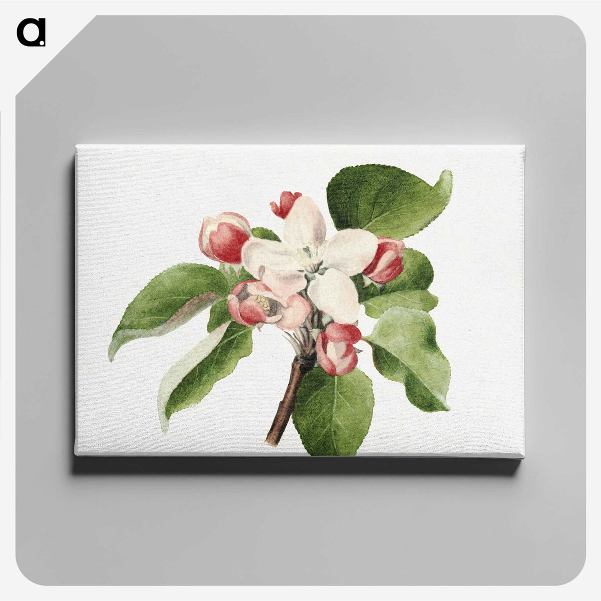 1-66_USDA-Watercolor-Fruit-Painting-Collection_canvas