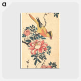 アートポストカード-Eastern Grey Wagtail and Rose
 - 歌川 広重 Postcard.