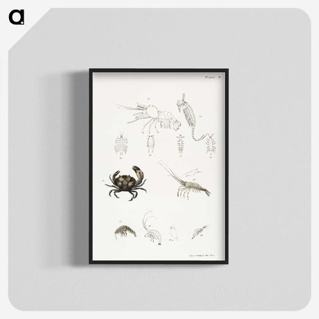 1-66_Zoology-of-New-York_blk-crop