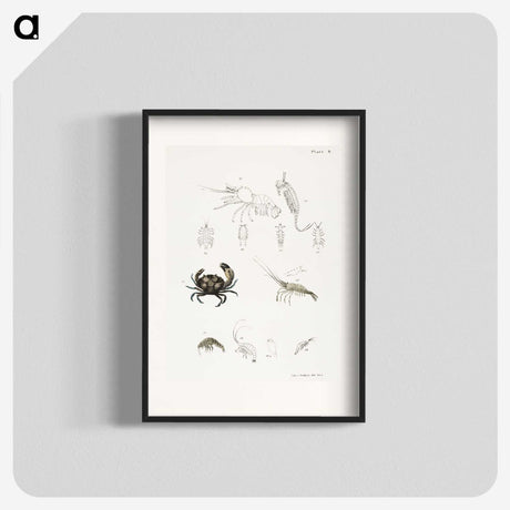 1-66_Zoology-of-New-York_blk