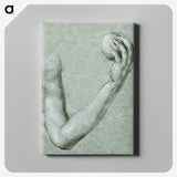 1-67_Albrecht-Durer_canvas