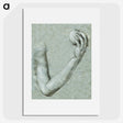1-67_Albrecht-Durer_picture