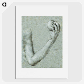 1-67_Albrecht-Durer_picture