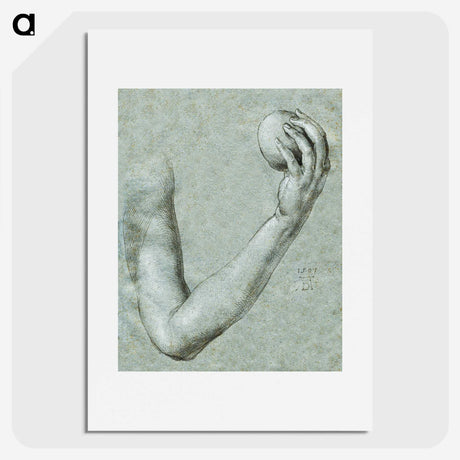1-67_Albrecht-Durer_picture