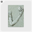 1-67_Albrecht-Durer_postcard