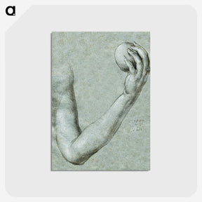1-67_Albrecht-Durer_postcard