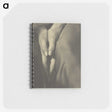 1-67_Alfred-Stieglitz_memo