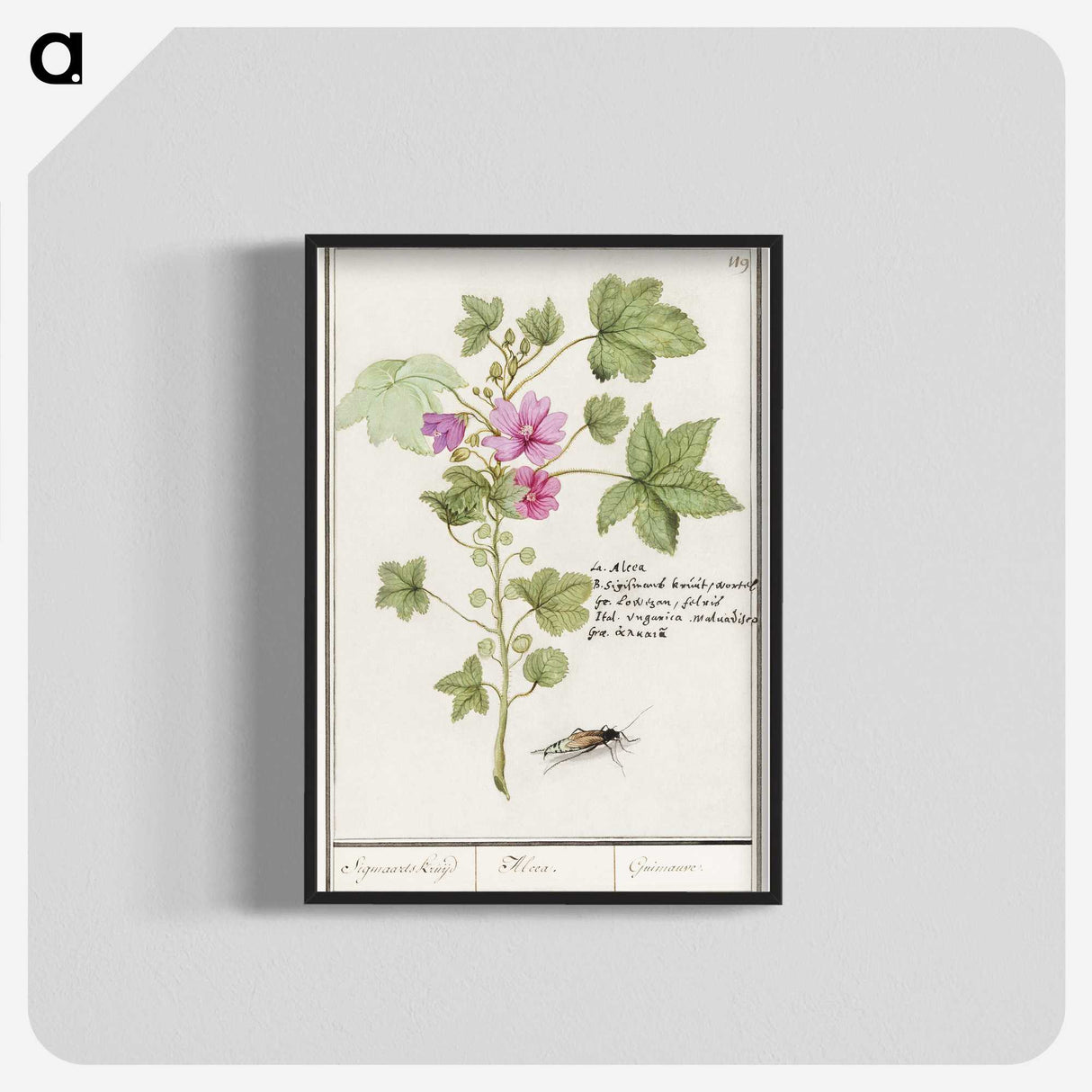 1-67_Anselmus-Boetius-de-Boodt_blk-crop