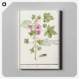 1-67_Anselmus-Boetius-de-Boodt_canvas