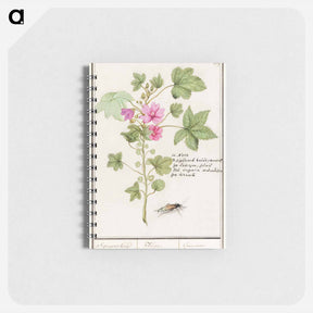 アートメモ帳-Large mallow, Malva sylvestris - アンセルムス ボエティウス デ ブート Memo.