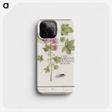 1-67_Anselmus-Boetius-de-Boodt_phone
