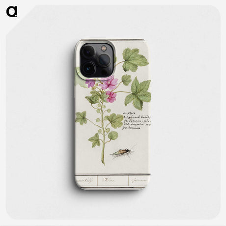 1-67_Anselmus-Boetius-de-Boodt_phone