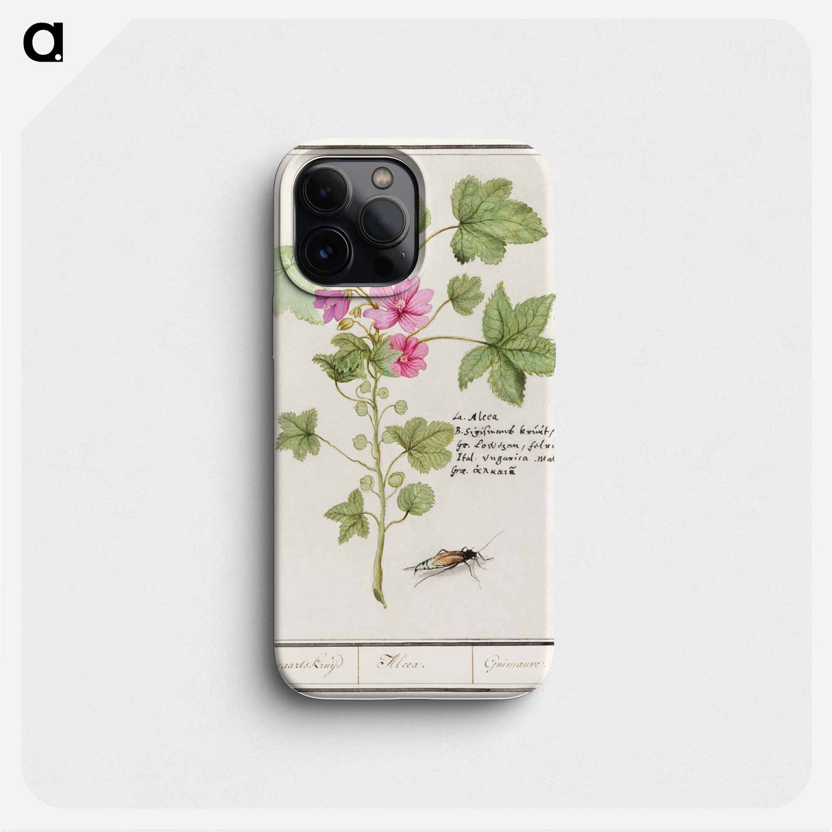 Large mallow, Malva sylvestris - アンセルムス ボエティウス デ ブート Phone Case.