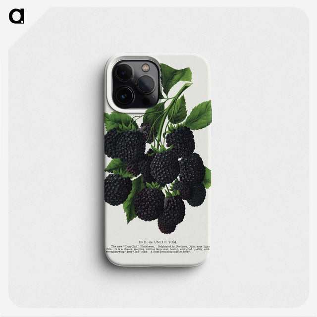 1-67_Botanical-Specimen-Plates_phone