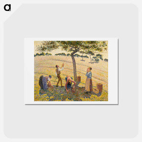 アートポストカード-Apple Harvest - カミーユ ピサロ Postcard.