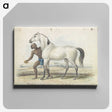 1-67_Charles-Hamilton-Smith_canvas