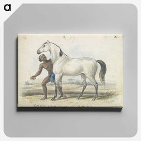 1-67_Charles-Hamilton-Smith_canvas