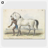 1-67_Charles-Hamilton-Smith_picture-crop