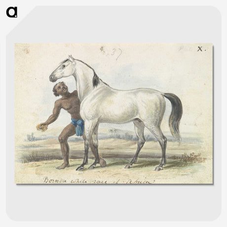 1-67_Charles-Hamilton-Smith_picture-crop