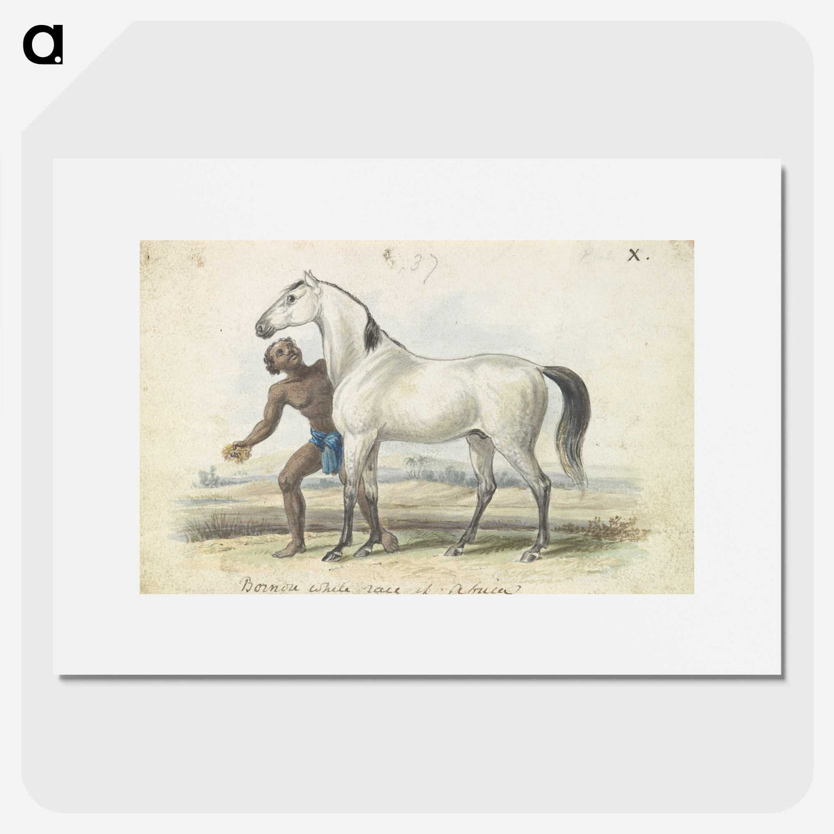 1-67_Charles-Hamilton-Smith_picture