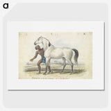 1-67_Charles-Hamilton-Smith_picture