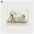 1-67_Charles-Hamilton-Smith_postcard