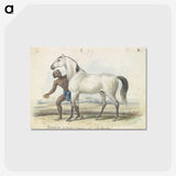 1-67_Charles-Hamilton-Smith_postcard