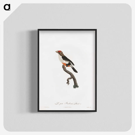 1-67_Des-Oiseaux-de-Paradis_blk-crop