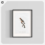 1-67_Des-Oiseaux-de-Paradis_blk