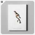 1-67_Des-Oiseaux-de-Paradis_canvas