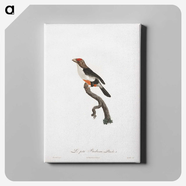 1-67_Des-Oiseaux-de-Paradis_canvas