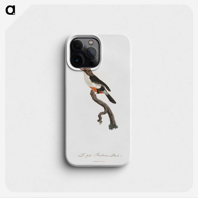 1-67_Des-Oiseaux-de-Paradis_phone