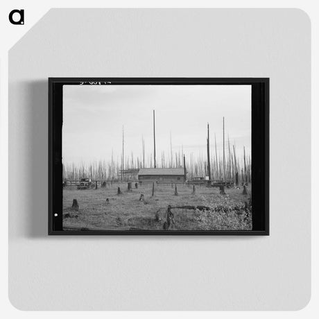 1-67_Dorothea-Lange_blk-crop