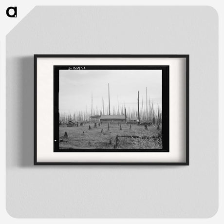 1-67_Dorothea-Lange_blk