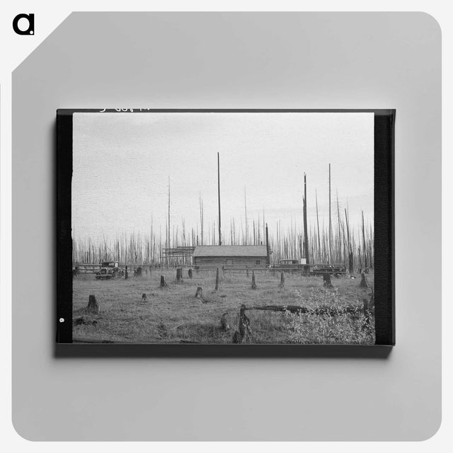 1-67_Dorothea-Lange_canvas