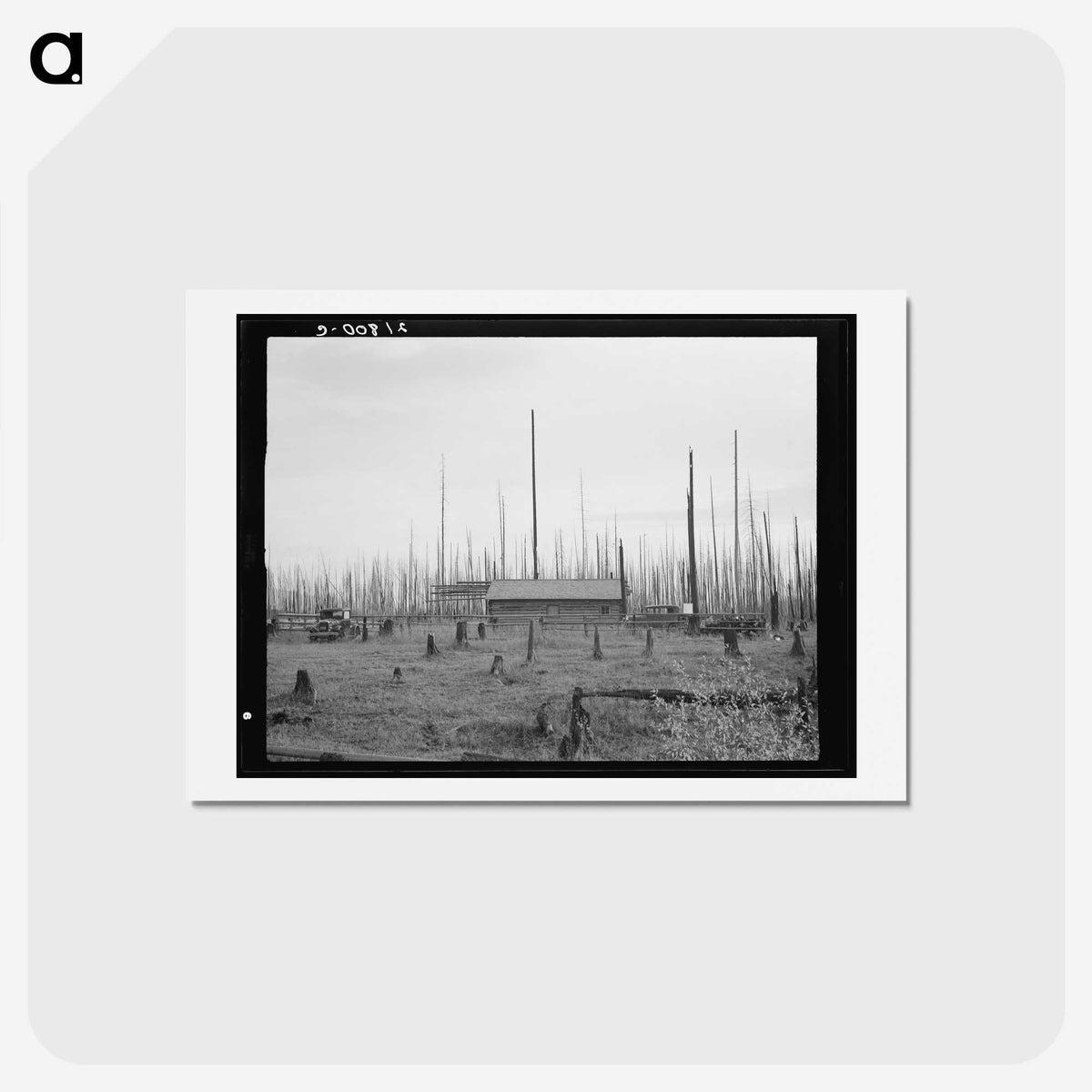 1-67_Dorothea-Lange_hagaki