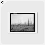 1-67_Dorothea-Lange_hagaki