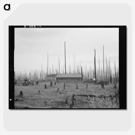 1-67_Dorothea-Lange_picture-crop