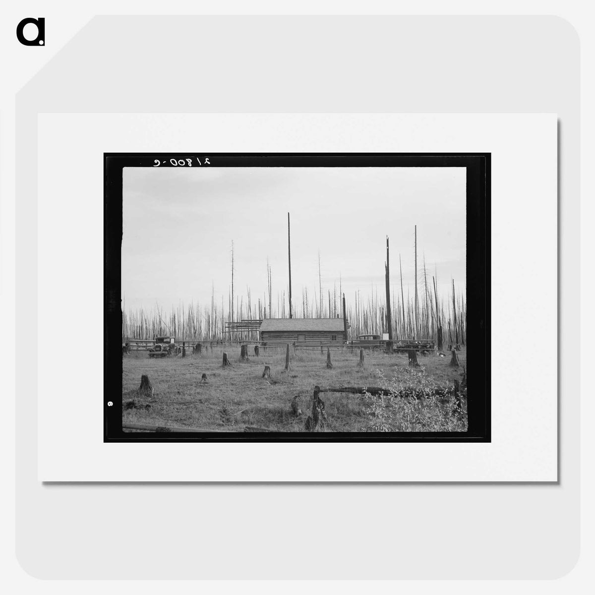 1-67_Dorothea-Lange_picture