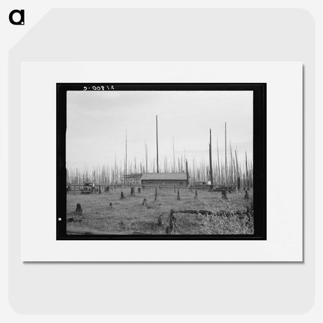 1-67_Dorothea-Lange_picture