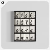 1-67_Eadweard-Muybridge_blk-crop