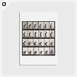 アートポストカード-Miner with Pick
 - エドワード マイブリッジ Postcard.