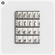 1-67_Eadweard-Muybridge_memo