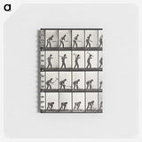 1-67_Eadweard-Muybridge_memo