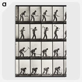 1-67_Eadweard-Muybridge_picture-crop